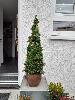 IMG-20201123-WA0001